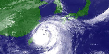 chanhom8.jpg