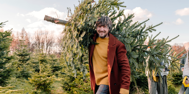 Warum Sie auf keinen Fall den Christbaum im Auto transportieren sollten: Mega-Strafe droht 