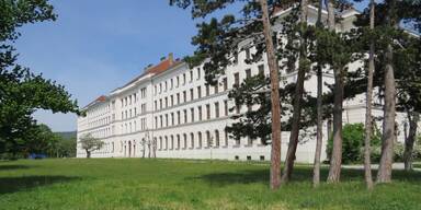 NÖ gegen Obsorge-Gesetz für Flüchtlingskinder