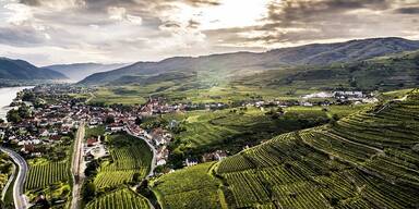 Vinea Wachau lädt zum Weinfrühling und zur Steinfedernacht 