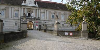 Rohrau: BM Mayer "überlebt" Misstrauensantrag