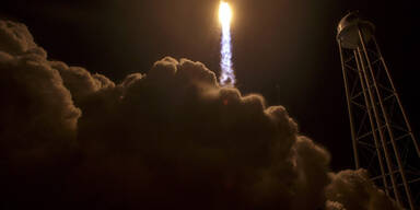 cygnus02.jpg