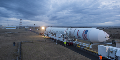 cygnus2.png