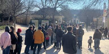 Schönwetter-Ansturm auf Tiergarten Schönbrunn