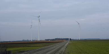 Ebreichsdorfs Bürger "durch den Wind": Wie viele "Windradeln“ sollen noch kommen?