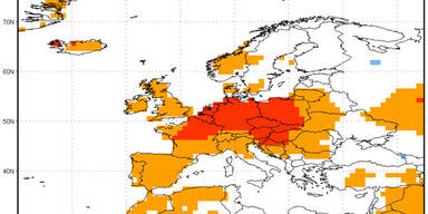 decnoaa-2.jpg