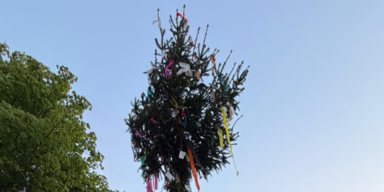 Maibaum trifft 16-jährigen Feuerwehrmann am Kopf