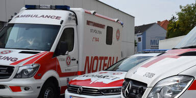 Rettung ohne Grenzen: Slowakei und Ungarn helfen mit