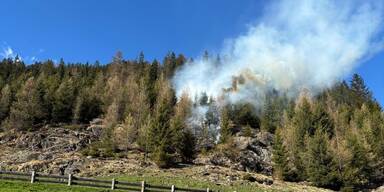Buben (9) lösten mit Lagerfeuer Waldbrand aus