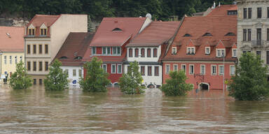 Hochwasser Elbe