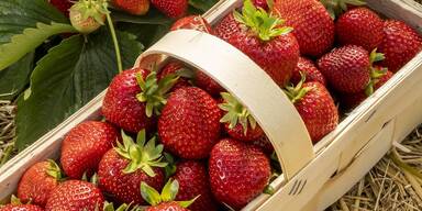 Deswegen kommt jetzt Preis-Explosion für Erdbeeren und Spargel 