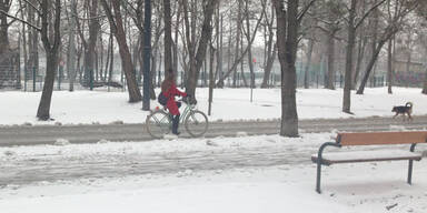 fahrrad.jpg