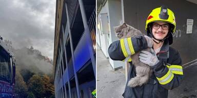 112 Mieter und drei Katzen bei Wohnungsbrand evakuiert