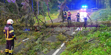 Feuerwehr Unwetter Sturm