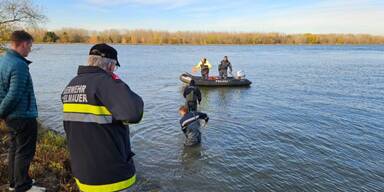 20 gestohlene E-Scooter in Donau versenkt