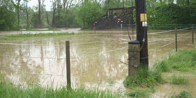 ffgleisdorf_unwetter23jpg.jpg