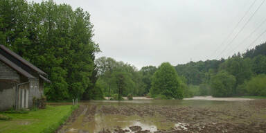 ffgleisdorf_unwetter4.jpg