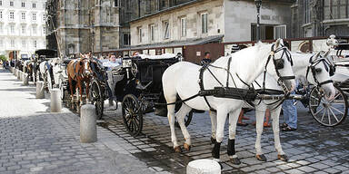 Fiaker am Stephansplatz 