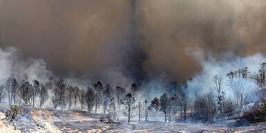 fire741.jpg