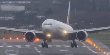 fliegen.jpg