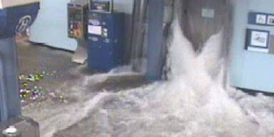 flut2.jpg