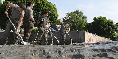 flut7.jpg