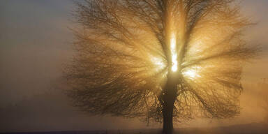 fog01.jpg