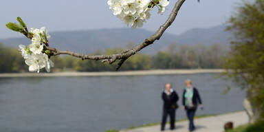 fruehling.jpg
