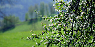 Frühling