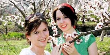 fruehling