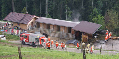 fwbeztennengau8.jpg