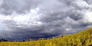 gewitter