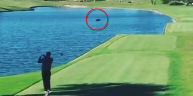 golf3.jpg