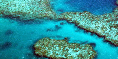 greatbarrierreef.jpg
