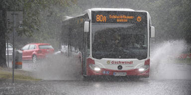 gschw2.jpg