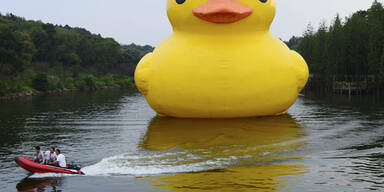 Eine riesige Gummiente schwimmt derzeit durch China