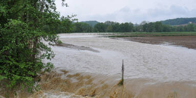 haselbach3_LFV_Meier.jpg