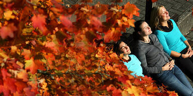 herbst1.jpg