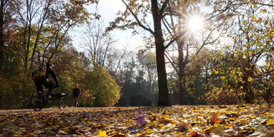 herbst95.jpg