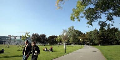 herbst_pauty.jpg