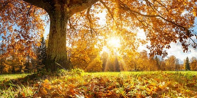 Herbst-Sonne: HIER erwarten uns heute bis zu 20 Grad