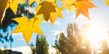 Bis zu 17 Grad: Sonnige Herbsttage für ganz Österreich