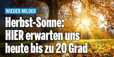herbstsonne_Konsole.jpg