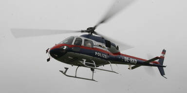hubi02.jpg