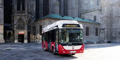 Bus Wien Stephansdom