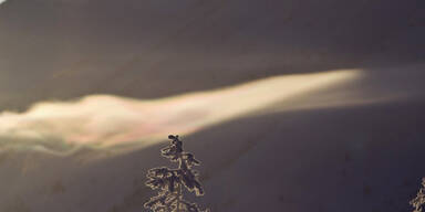 Das ist der kälteste Ort der Welt