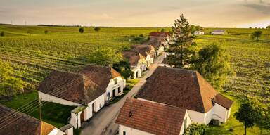 Wein, Sonne & Frühling: Das Weinviertel ruft – dieses Wochenende!