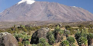 kilimanjaro.jpg