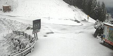 kitz.jpg