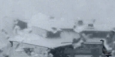 kitz1.jpg